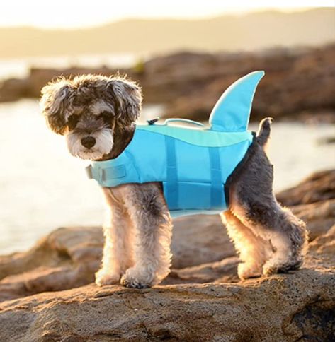 dogs | swimming | sun | paddle board | cute | holiday | beach | fun | safe Dog Life Jacket, Dog Life Vest, Vest Clothes, Swimming Pool Toys, Dog Swimming, Life Vest, Dog Safety, Summer Swimwear, Dog Vest