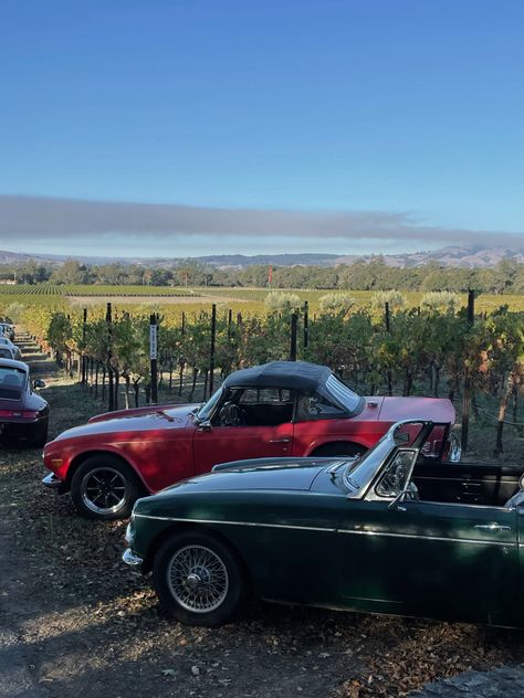 Vintage Cars | Vineyard | Napa | Sonoma | Northern California | Wine Country | Early Morning | Soft Aestheric Sonoma County Aesthetic, Sonoma California Aesthetic, Sonoma Aesthetic, Napa California Aesthetic, Napa Valley Aesthetic, Napa Aesthetic, Northern California Aesthetic, Napa Photography, Napa Vineyards