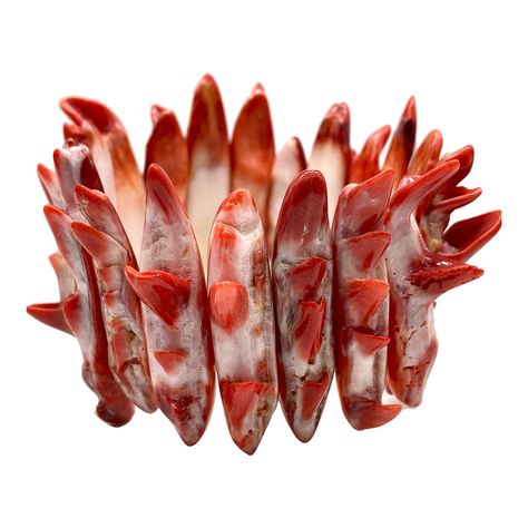 PRICES MAY VARY. [Sold in one 7.25 inches elastic bracelet] Introducing our vibrant Red Spiny Oyster Shell Beads, perfect for adding a pop of color to your jewelry designs. Our Spiny Oyster Shell Beads are carefully selected for their quality and beauty, ensuring that each bead has multiple matching spines Our Spiny Oyster Shell beads also have cultural and historical significance, as they have long been valued by Native American communities for their use in traditional jewelry and art. By incor Adornment Jewelry, Sea House, Shell Bracelet, Pow Wow, Spiny Oyster, Native American Fashion, Shell Jewelry, Oyster Shell, Elastic Bracelet