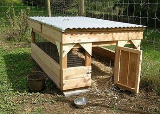 37 Free DIY Duck House / Coop Plans & Ideas that You Can Easily Build Duck House Plans, Duck Houses, Duck Pens, Goose House, Duck Stuff, Backyard Ducks, Farming Ideas, Easy Chicken Coop, Duck Coop