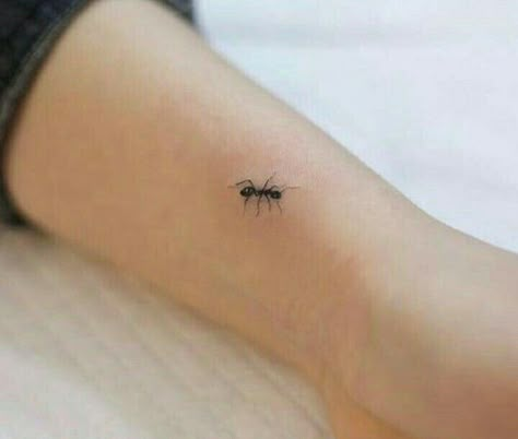 Hormiga Ant Tattoo, Any Tattoo, Orca Tattoo, Doodle Tattoo, 3d Tattoo, Hand Poke, Piercing Tattoo, Body Tattoos, Cute Tattoos