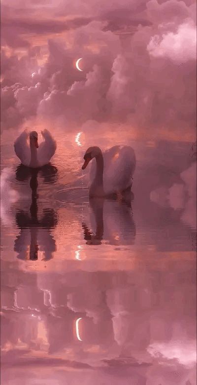 Soft Lovecore Aesthetic Wallpaper, Swan Aesthetic Pink, Ethereal Pink Wallpaper, Light Pink Pictures Aesthetic, Swan Wallpaper Aesthetic, Soft Lovecore Aesthetic, Pink Love Aesthetic, Lovecore Art, Lovecore Fashion