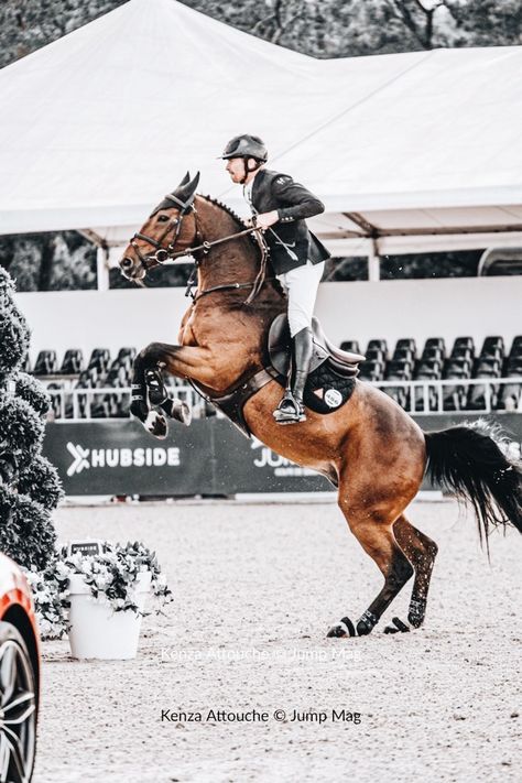 Warmblood Horses Jumping, Showjumping Aesthetic, Jumping Aesthetic, English Horseback Riding, Equestrian Jumping, Hunter Jumper Horses, Hunter Horse, Warmblood Horses, Show Jumping Horses