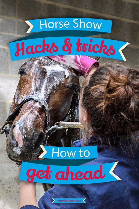 The best show hacks that will help you get ahead Horse Show Hacks, Equestrian Tips, Barn Hacks, Riding Tips, Diy Horse, Horse Care Tips, Show Makeup, Horse Riding Tips, Horse Stable