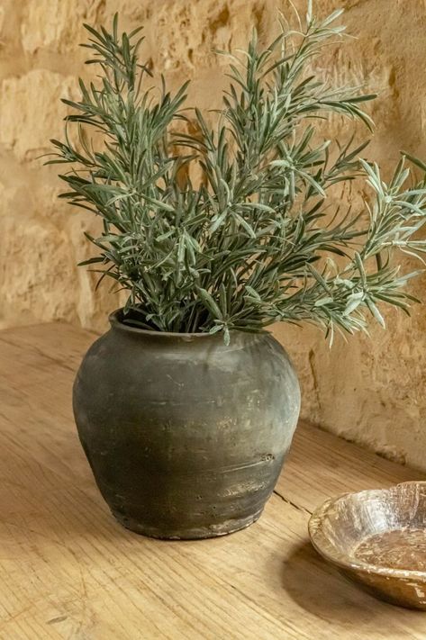 Rustic Pots For Plants, Art Deco Plant, Potted Olive Tree, Rustic Pots, Plant Accessories, Phone Wallpaper Boho, Rustic Planters, Washing Walls, Rustic Vase