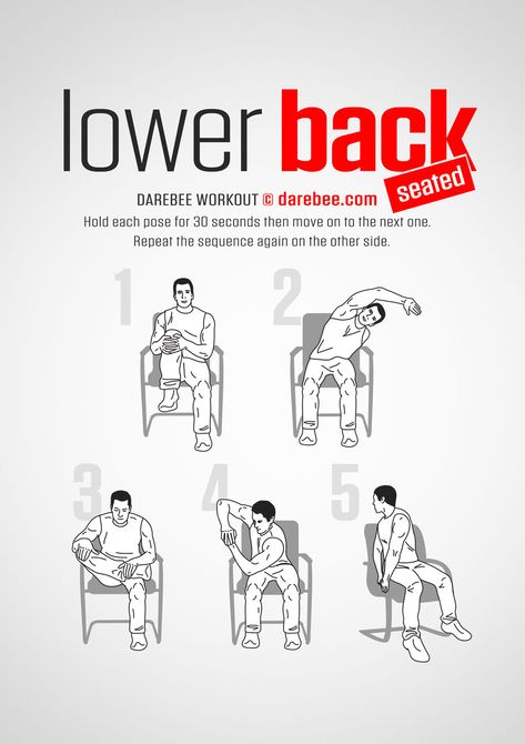 Lower Back Seated Workout Lower Back And Sides Exercises, Seated Lower Body Exercises, Lower Back Stiffness Exercise, Exercises For Weak Lower Back, Lowerbackpain Exercise, Low Back Stretches, Seated Exercises, Chair Exercises, Lower Back Exercises