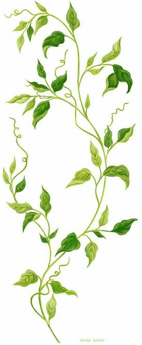 Artsy Drawings Aesthetic, Drawing Vines, Artsy Drawings, Vine Drawing, Leaves Drawing, Leaves Sketch, Plant Sketches, Ivy Plants, Vine Leaves