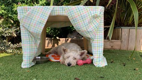 How to make a DIY outdoor sun shelter for your pet - PDSA Diy Dog Shade, Dog Sun, Homemade Christmas Presents, Sun Dogs, Sun Shelter, Diy Shades, Shade Structure, Pet Care Tips, Diy Dog