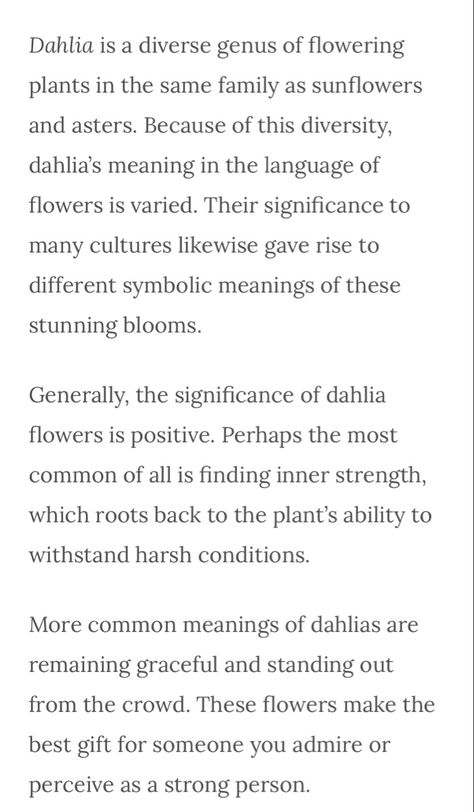 Dahlia Meaning Language Of Flowers, Black Dahlia Meaning, Black Dahlia Tattoo Meaning, Dahlia Flower Tattoo Meaning, Dahlia Tattoo Meaning, Dahlia Meaning, Dalia Core, Dahlia Flower Meaning, Daliah Flower