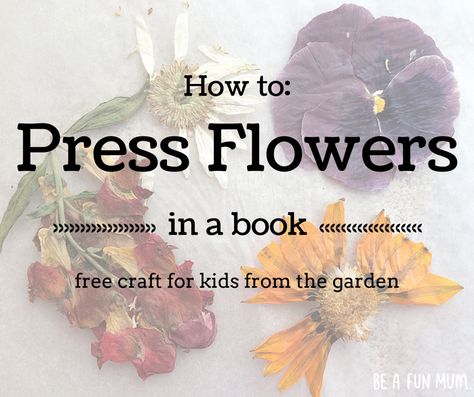 how to press flowers How To Press Sunflowers In A Book, How To Book Press Flowers, Pressing Flowers In Books, How To Dry Flowers In A Book, How To Press Flowers In A Book, Book Pressed Flowers, Press Flowers In A Book, Dry And Press Flowers, Book Pressing