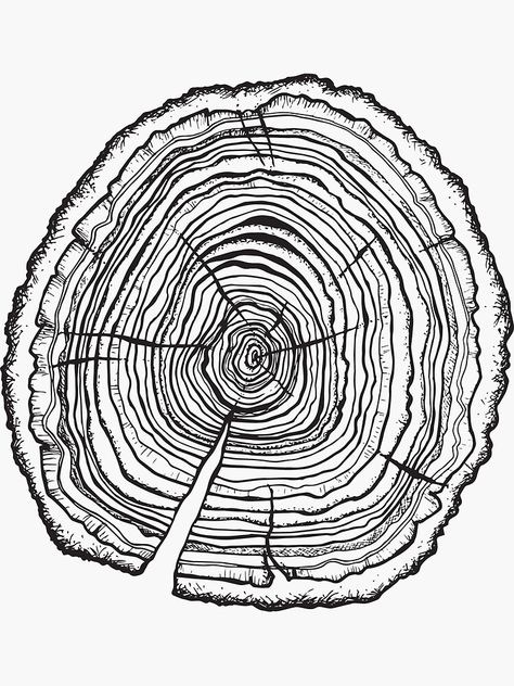 Tree Stump Tattoo Design, Oak Tree Rings, Tree Rings Drawing, Tree Ring Illustration, Tree Ring Tattoo Shoulder, Tree Ring Painting, Tree Ring Art Diy, Tree Rings Art, Tree Rings Tattoo