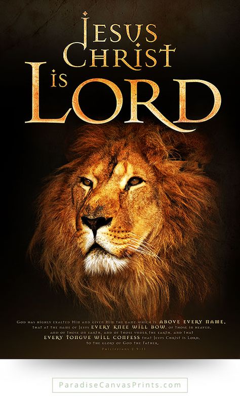 Christian Creative, Lion Of Judah Jesus, Dragon God, Promises Of God, Christ The King, Tribe Of Judah, Prophetic Art, Strong Man, Pictures Of Jesus Christ