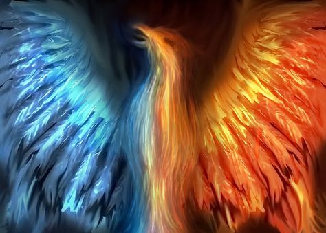 Love this idea- Half water, half fire... Phoenix Mythology, Phoenix Images, Phönix Tattoo, Phoenix Art, Phoenix Rising, Phoenix Bird, Phoenix Tattoo, Fire Art, Mystical Creatures