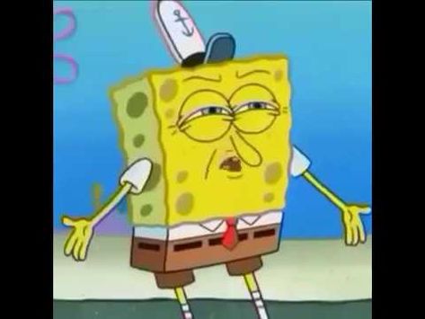 Funny Spongebob Faces, Funny Spongebob Videos, Spongebob Jokes, Spongebob Time Cards, Da Fuq, Spongebob Gif, Spongebob Faces, Spongebob Pics, Spongebob Cartoon