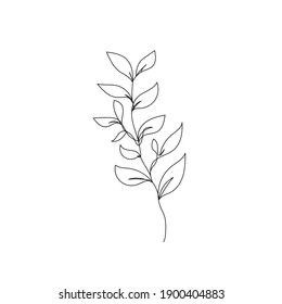 Basil Leaf, Tattoo Simple, Plant Tattoo, Single Line Drawing, Continuous Line Drawing, Leaf Drawing, Plant Drawing, Single Line, Continuous Line