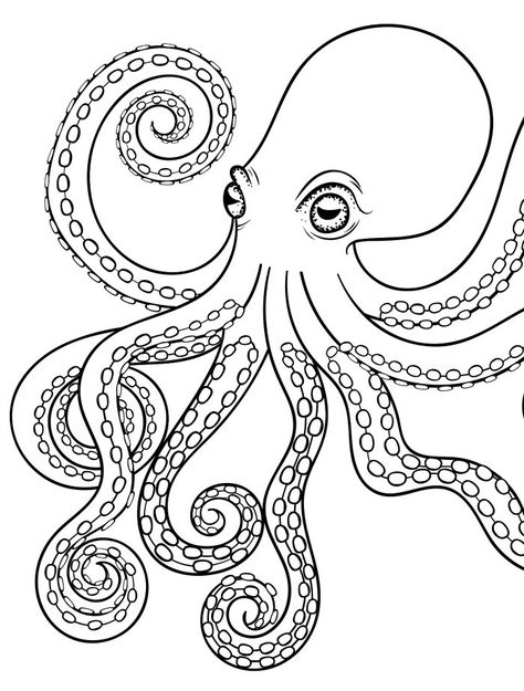 octopus adult coloring page for adults Octopus Coloring, Anchor Drawings, Octopus Colors, Octopus Coloring Page, Octopus Drawing, Octopus Tattoos, Octopus Tattoo, Octopus Art, Black And White Artwork