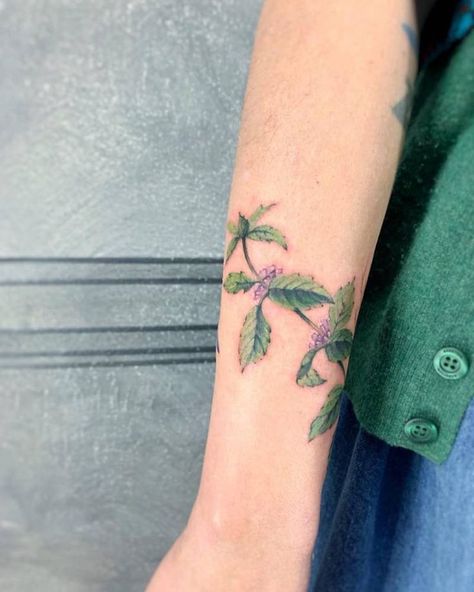 Mint Leaves Tattoo, Mint Leaf Tattoo, Mint Tattoo, Mint Flower, Mint Flowers, Text Tattoo, Drawing Tattoo, Bee Tattoo, Green And Gray