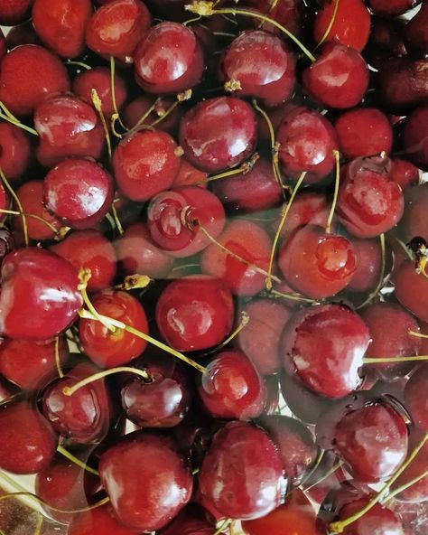 🍒 Cherry compote (composta) is my excuse for eating too much ice cream this week. Pit 500gr cherries and cook on low heat with a squeeze of lemon juice, 2 tbsp brown sugar, and 1/2 tsp allspice until the juices thicken. Et voilà 🍒 #cherryseason #cherry #cherrycompote #cherryrecipe Cherry Christmas, Cherry Compote, Eating Too Much, Cherry Season, Cherry Recipes, Ate Too Much, Winter Aesthetic, Lemon Juice, Brown Sugar