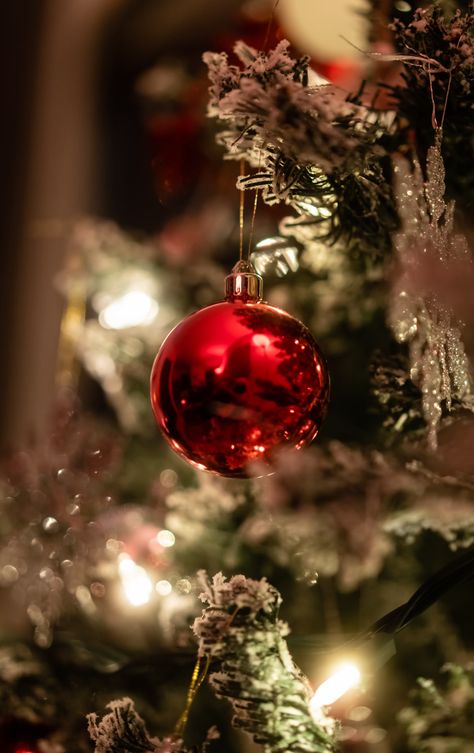 Christmas Tree Photo, Christmas Tree Photography, Crafts By Season, Snow Theme, Picture Ornaments, Christmas Balls Decorations, Tree Photo, Holiday Photography, Red Christmas Tree