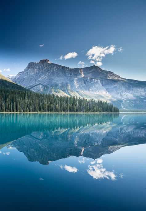 Emerald Lake Canada, Yoho National Park Canada, Salt Painting, World Most Beautiful Place, Canada Photography, Yoho National Park, Canada National Parks, Mystical Places, Dream Vacations Destinations