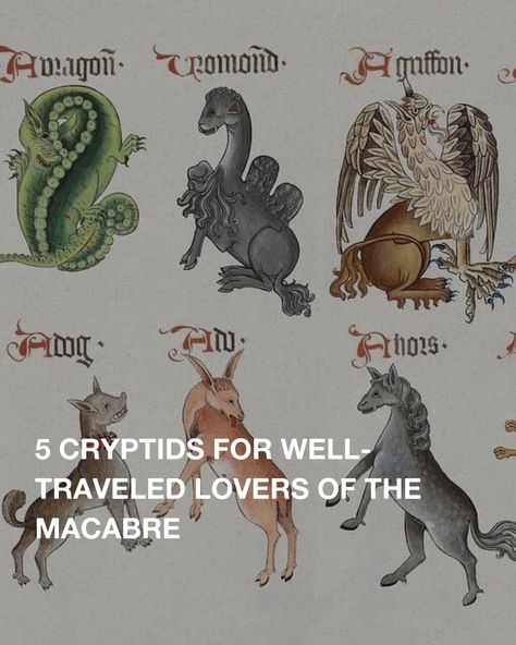 Delve into the mysterious world of cryptids, creatures whose existence has not been substantiated by science. From a winged Mothman haunting West Virginia to the Loch Ness Monster's dubious existence in Scotland, these myths will leave you awestruck. Pennsylvania Cryptids, Cryptids Creatures, Cryptids Of Each State, Cryptids Of Illinois, Cryptids Of New Hampshire, Famous Cryptids, Myths & Monsters, Social Cause, Loch Ness Monster