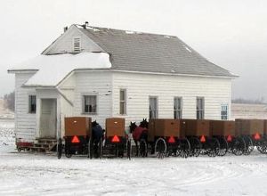 Merry Christmas Amish Christmas Decorations, Amish School, Amish Lifestyle, Amish Living, Amish House, Amish Culture, Amish Life, Amish Farm, Plain People