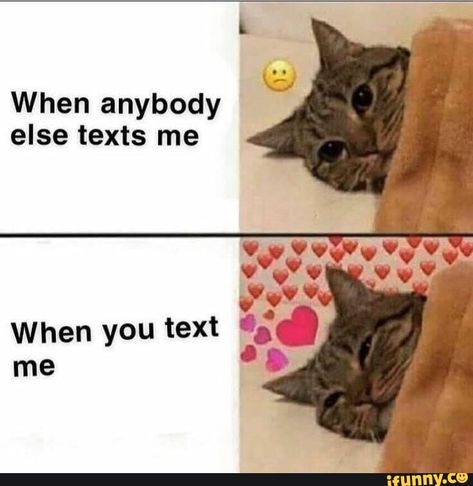 When anybody else texts me – popular memes on the site iFunny.co #textingfunnytexts #memes #when #else #texts #pic Love Memes For Him Boyfriend, Smiley Quotes, Cute Love Messages, Flirty Memes, Gf Memes, What I Like About You, Couple Memes, Memes For Him, Crush Memes