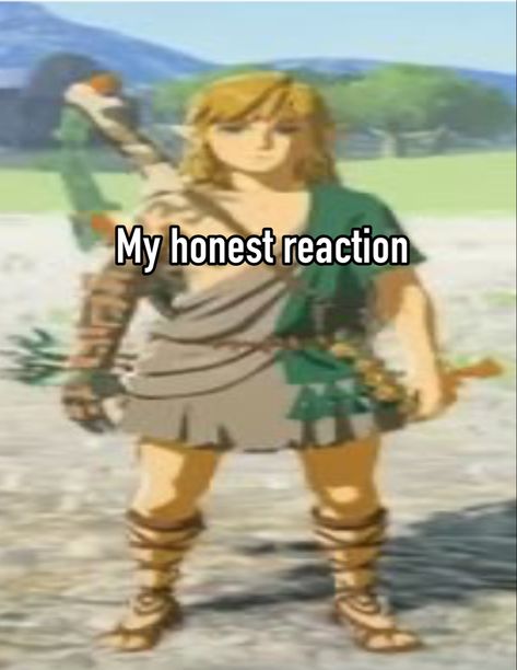 #zelda #loz #link #nintendo #nintendoswitch #videogames #tiktok #whisper Link Botw Funny, Black Link Zelda, Zelda Reaction Pics, Link Fanart Cute, Link X Y/n, Link Banner, Link X Zelda, Link Totk, Tears Of The Kingdom Link