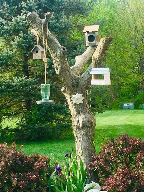 Have an old tree stump in your yard or do you need to cut down an overgrown tree? We turned an overgrown miniature crab apple tree into a bird sanctuary, with bird feeders and houses that all share a rustic vibe. Birdhouse On Tree Stump, Tree Stump Bird Feeder, Tree Trunk Bird House, Cut Tree Stump Ideas, Tree Stump Bird House, Cut Down Tree Ideas, What To Do With Tree Stumps In Yard, Decorating Tree Stumps In Yard, Dead Tree Ideas