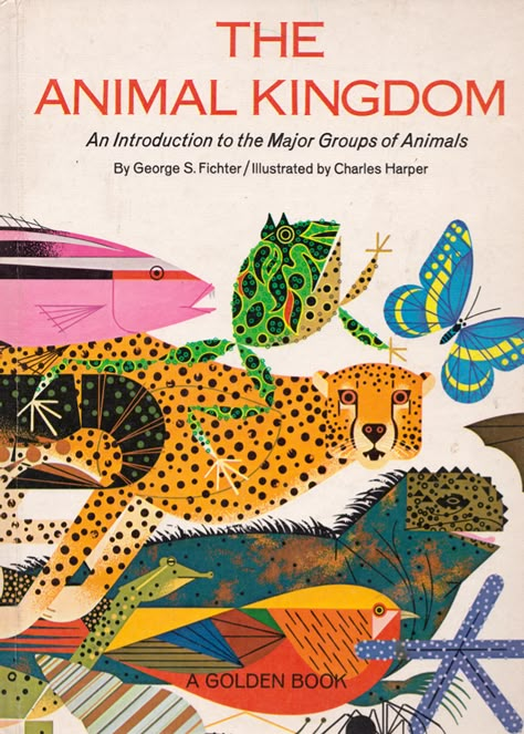 The Animal Kingdom - illustrated by Charley Harper. Need to get hold of a copy of this book! Charley Harper Art, Charlie Harper, Kid Books, Buch Design, Mid Century Illustration, Charley Harper, Teacher Books, Animal Groups, Vintage Children's Books