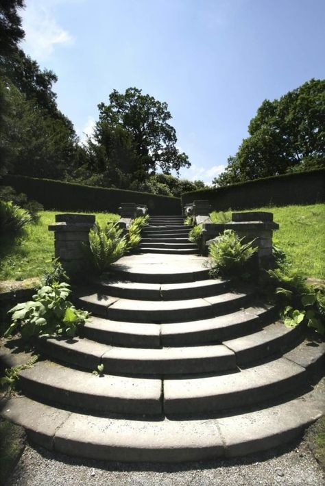 Backyard Stone, Step Ideas, Rock Steps, Creeping Vines, Landscape Stairs, Circular Stairs, Stone Step, Patio Steps, Stone Steps