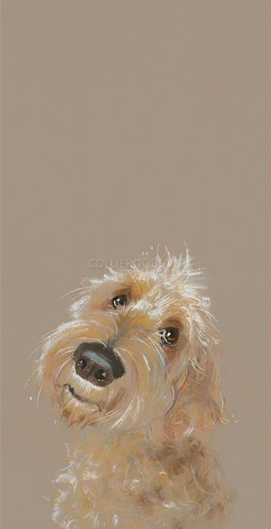 강아지 그림, Doodle Dog, Watercolor Dog, Arte Inspo, Dog Illustration, Dessin Adorable, Dog Drawing, Dog Paintings, Pics Art