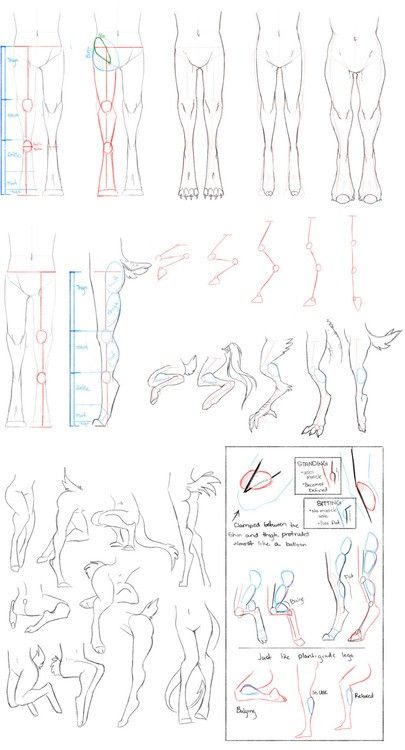 Body Reference Drawing, Art Help, Anatomy Drawing, Guided Drawing, Body Drawing, Figure Drawing Reference, Creature Concept Art, Poses References, Anatomy Reference