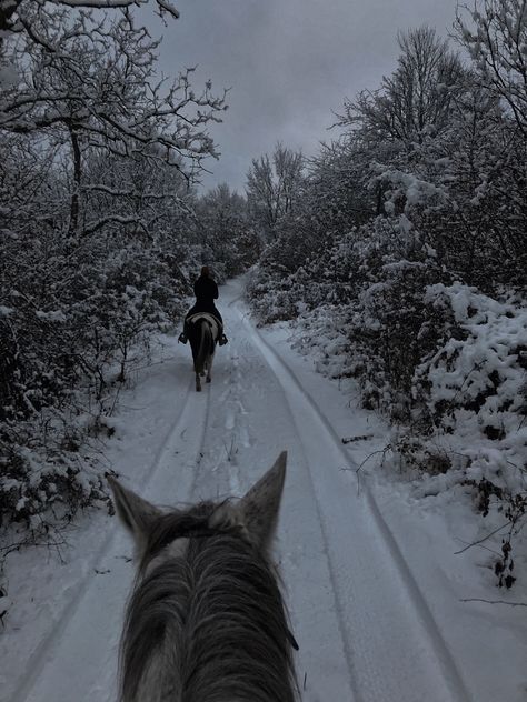 Horses In Snow, Winter Horse, Mountains Aesthetic, Mountain Cottage, Winter Riding, Cowgirl Aesthetic, Horse Aesthetic, Ranch Life, Snowy Day