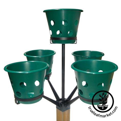 Bloom Master Tree Stand Petunia Tree, Flower Sphere, Tall Planter Boxes, Garden Baskets, Basket Holder, City Gardens, Garden Basket, Planter Basket, Garden Posts