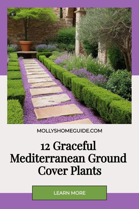 Discover the beauty of Mediterranean ground cover plants with Dymondia margaretae, also known as Silver carpet. These stunning and colorful plants are perfect for rock gardens, creating a tapestry of color with their lavender flowers. Hardy catmint is another great option for drought tolerant and low maintenance ground cover. Enhance your outdoor space with these hardy plants that will thrive in various conditions while adding aesthetic appeal to your garden or landscape design. Dymondia Margaretae, Low Maintenance Ground Cover, Succulent Ground Cover, Stachys Byzantina, Silver Carpet, Drought Tolerant Landscape, Mediterranean Plants, Rock Gardens, Ground Cover Plants