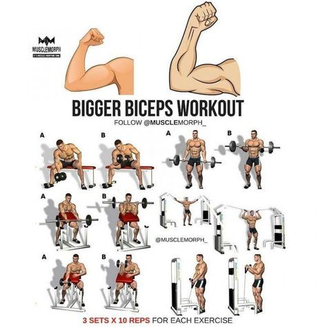 Bigger Biceps Workout, Bicep Workout Gym, Workout Tutorial, Best Bicep Workout, Big Biceps Workout, Bigger Biceps, Back And Bicep Workout, Bicep Workout, Forearm Workout