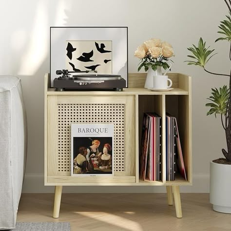 Vinyl record holder