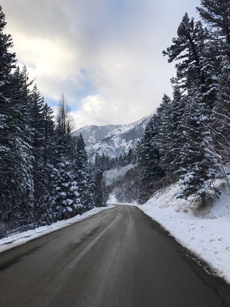 American Fork Canyon, Utah Salt Lake City Utah Winter Aesthetic, Salt Lake City Utah Winter, Nanowrimo 2023, Yosemite Winter, Utah Snow, American Fork Canyon, Utah Winter, Paint Nature, Im Coming Home