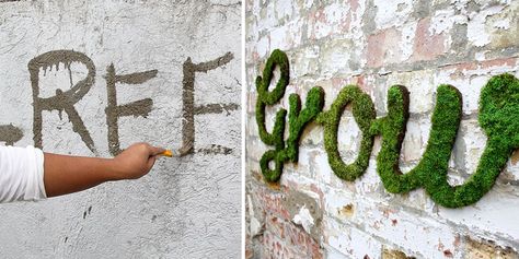 DIY moss graffiti.  Ok, I've grown moss on the ground with plain yogurt before, but never on a wall. Gotta try this at home! Moss Sign Diy, Moss Wall Outdoor, Diy Moss Garden, Moss Grafitti, Diy Moss Wall Art, Mos Wand, Moss Graffiti, Moss Paint, Diy Moss