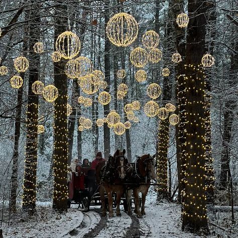 Nestlenook Farm - Sleigh Rides, Ice Skating Sleigh Rides In The Snow, Sleigh Ride Aesthetic, Outdoor Rink, Horse Farm Ideas, Community Design, Christmas Ice Skates, Sleigh Rides, Ice Skating Rink, Canadian Winter