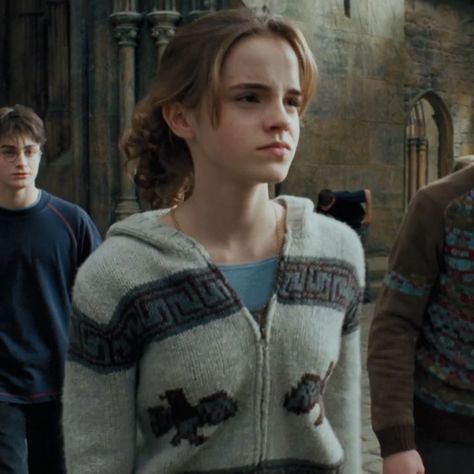 Hermione Granger Hair, Hermione Granger Aesthetic, Emma Watson Harry Potter, Harry Potter Icons, Images Harry Potter, Harry Potter Gif, Harry Potter Hermione, Harry Potter Cast, Big Boss