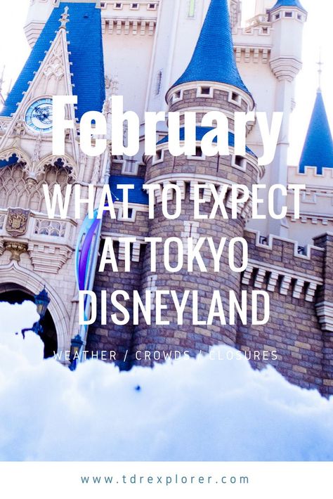 What to expect at Tokyo Disneyland & Tokyo DisneySea for the month of February. Including crowds, closures, merchandise, and weather. Hong Kong Beaches, Disney Bucket List, Disney Tokyo, Shanghai Disneyland, Tokyo Disneysea, Month Of February, Disneyland Tips, Disney Japan, Disneyland Outfits