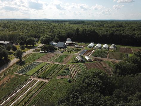 A Reverence for Soil - Maine Organic Farmers and Gardeners No Till Farming, Walk Behind Tractor, Scarborough Maine, Farm Visit, Farming System, Market Garden, Green Technology, Vegetable Garden Design, Soil Health