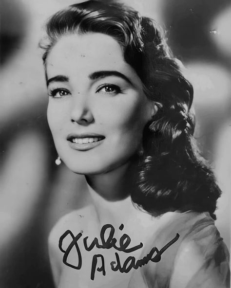 Julie Adams 🌟 (@julieadamsarchives) • Photos et vidéos Instagram Julia Adams, Julie Adams, Adam Young, Name Change, Blonde Bombshell, Change In, Background For Photography, Autograph, Pin Up