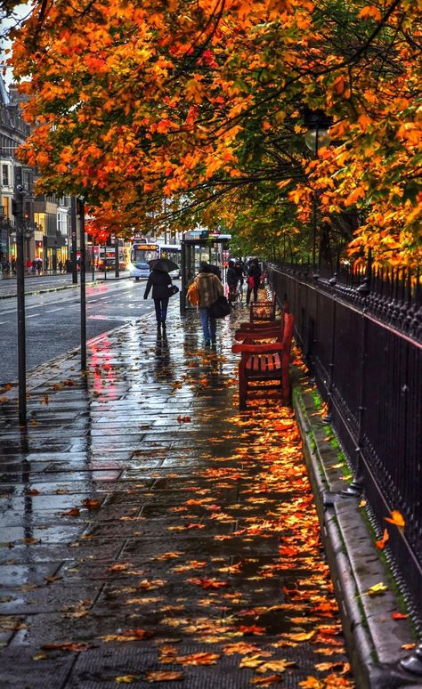 Princes street, Edinburgh, in the rain City Rain, Autumn Rain, Autumn Scenes, Autumn Scenery, Autumn Beauty, Fall Pictures, Rain Photography, Autumn Cozy, Autumn Aesthetic