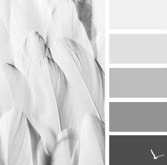 Color Schemes Colour Palettes, Grey Color Palette, Modern Color Palette, Grey Color Scheme, Bedroom Color Schemes, Gray Interior, Design Industrial, Blog Design, Feel Inspired