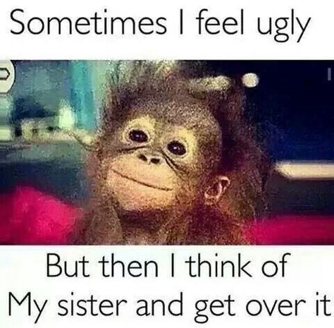 Oh my. Ad to laugh . Really my sister is beautiful but this was too. Funny. Funny Sister Memes, Sister Meme, I Feel Ugly, Sister Jokes, Sibling Memes, Sister Love Quotes, Feeling Ugly, Siblings Funny, Sister Quotes Funny