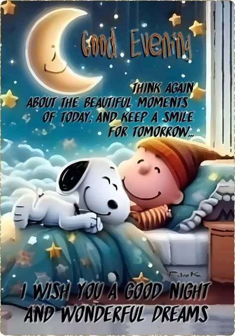 Snoopy Good Night, Peanuts Gang Christmas, Have A Nice Evening, Good Evening Messages, Good Night Prayer Quotes, Good Morning Snoopy, Happy Mothers Day Images, Beautiful Good Night Quotes, Good Night Funny