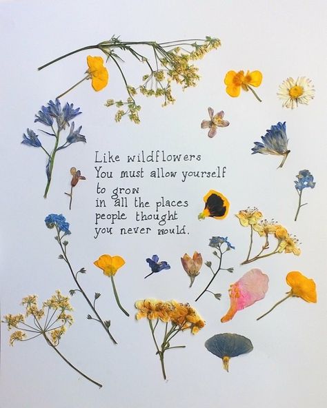 Like Wildflowers You Must Allow, Quotes About Wildflowers, Wildflower Poem, Wild Flower Quotes, Wildflower Cottage, Senior Parking Spot, Classy Tattoos, Parking Spot, Blog Photos